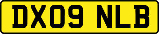 DX09NLB