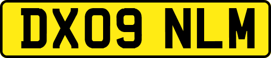 DX09NLM