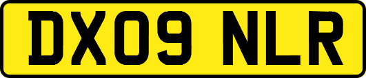DX09NLR