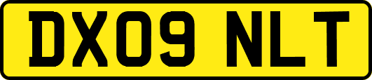 DX09NLT