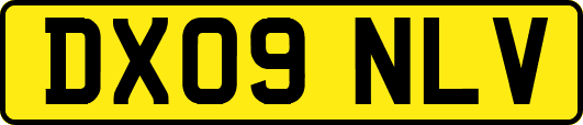 DX09NLV