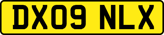 DX09NLX