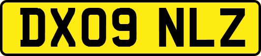 DX09NLZ