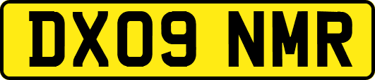 DX09NMR