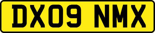 DX09NMX