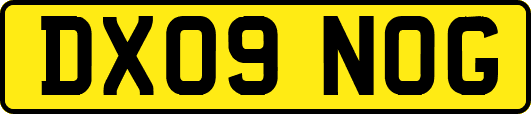 DX09NOG
