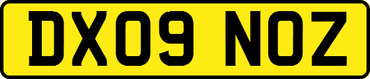 DX09NOZ