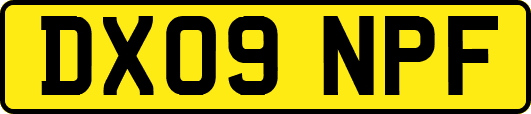 DX09NPF