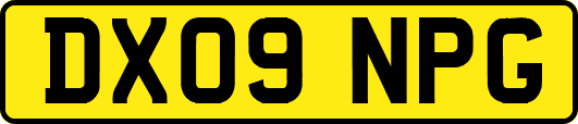 DX09NPG