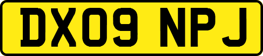 DX09NPJ