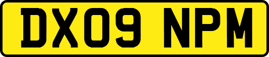 DX09NPM