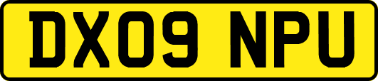 DX09NPU