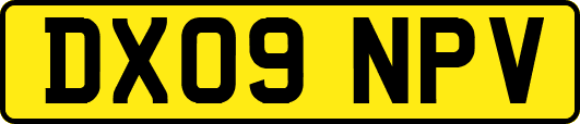 DX09NPV