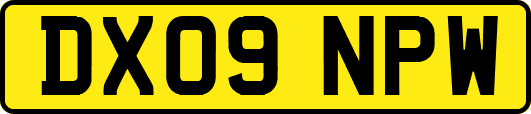 DX09NPW
