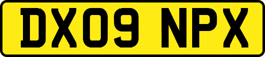 DX09NPX