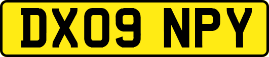 DX09NPY