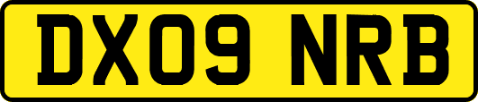 DX09NRB