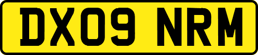 DX09NRM