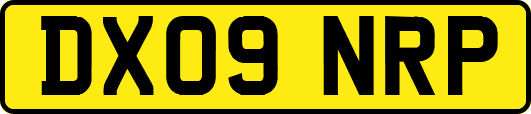 DX09NRP