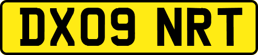 DX09NRT