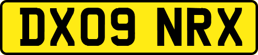 DX09NRX
