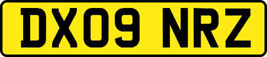 DX09NRZ