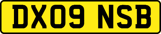 DX09NSB