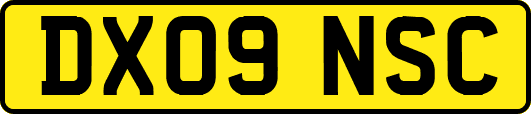 DX09NSC