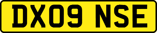 DX09NSE