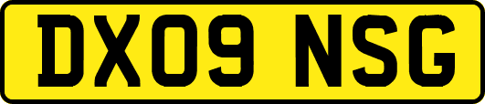 DX09NSG