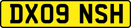 DX09NSH