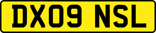 DX09NSL