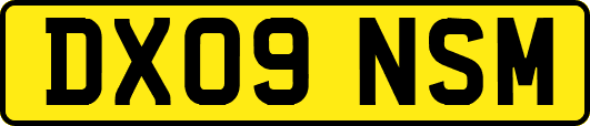 DX09NSM