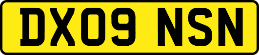 DX09NSN