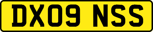 DX09NSS
