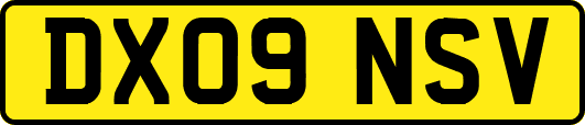 DX09NSV