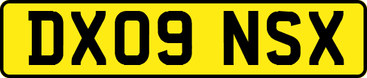 DX09NSX
