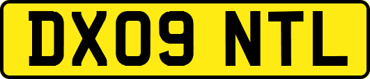 DX09NTL