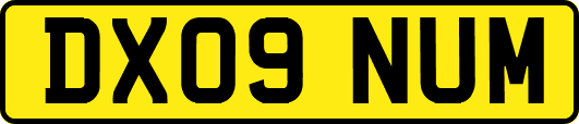 DX09NUM