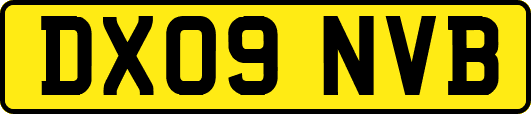 DX09NVB