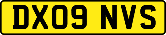 DX09NVS
