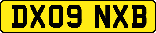 DX09NXB