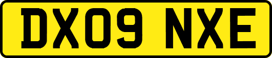 DX09NXE
