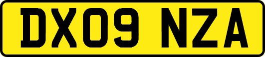 DX09NZA