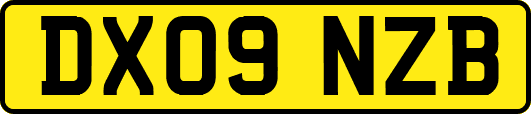 DX09NZB