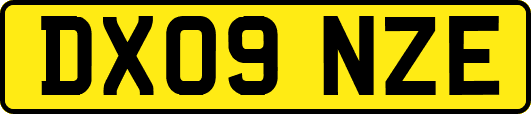 DX09NZE