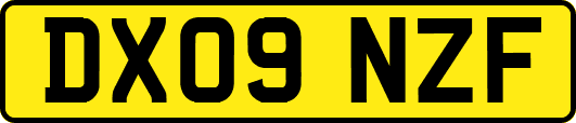 DX09NZF
