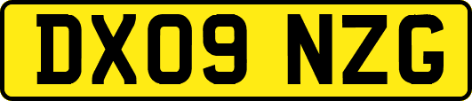 DX09NZG