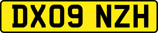 DX09NZH