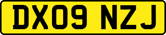 DX09NZJ